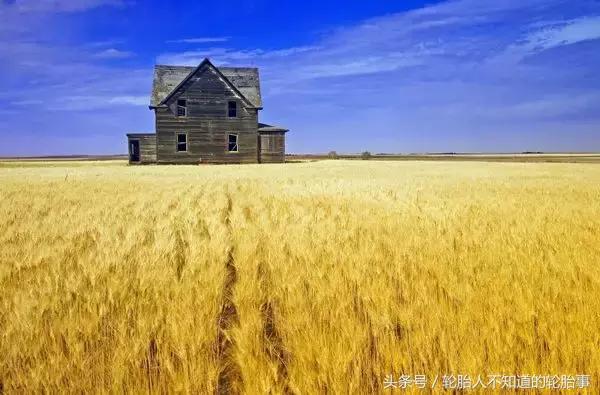 中国汽配的发展趋势,中国汽配历史详解