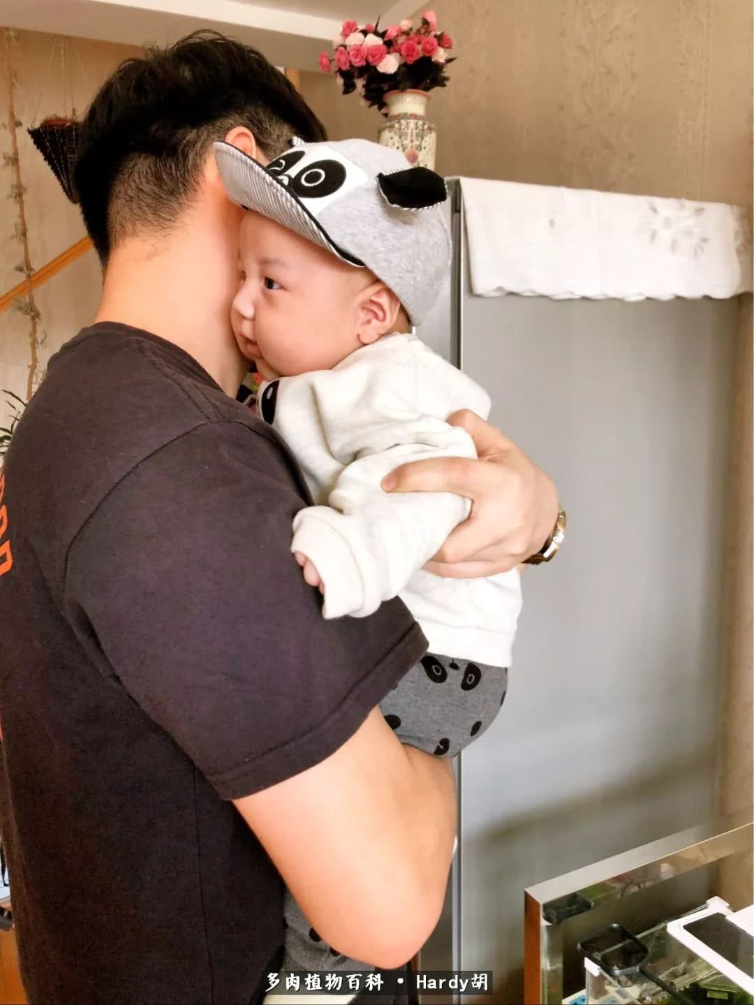 别人家的奶爸,别人家的多肉!一枚窗台*党**的多肉进阶之路!