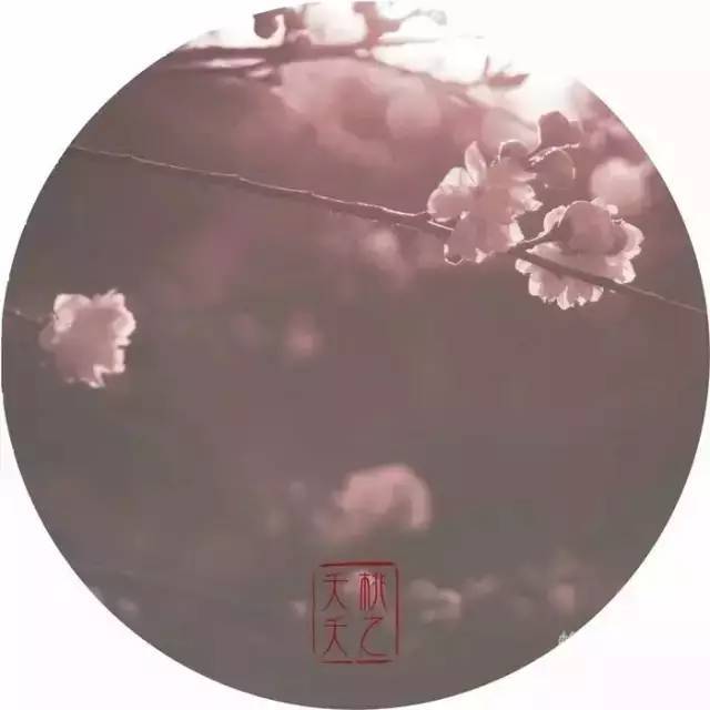 诗经中的国学经典语录,诗经中最唯美的句子加解析和感悟