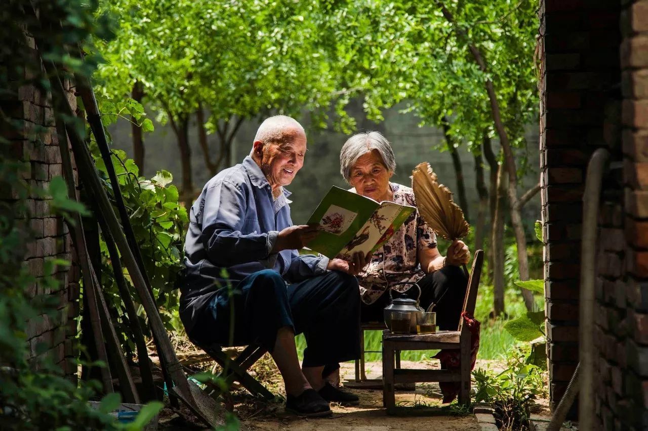 诗经中的国学经典语录,诗经中最唯美的句子加解析和感悟