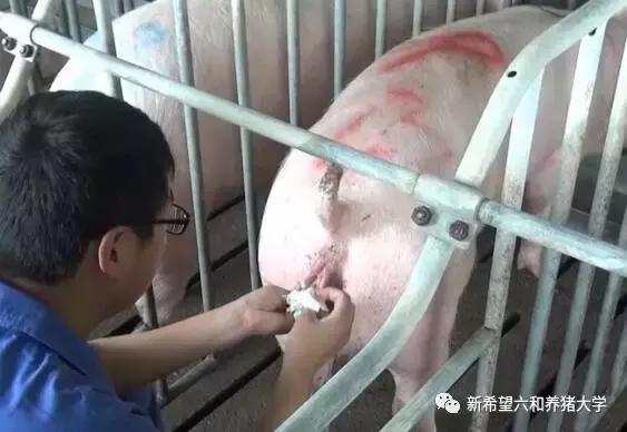 子宫炎症最好办法,子宫炎症最好的办法是什么