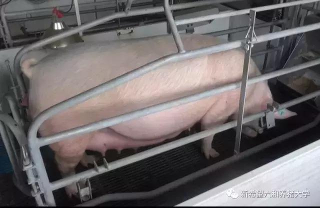 子宫炎症最好办法,子宫炎症最好的办法是什么