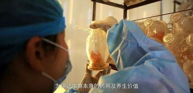 中科国医与中管院联盟,中科国医共生赋能