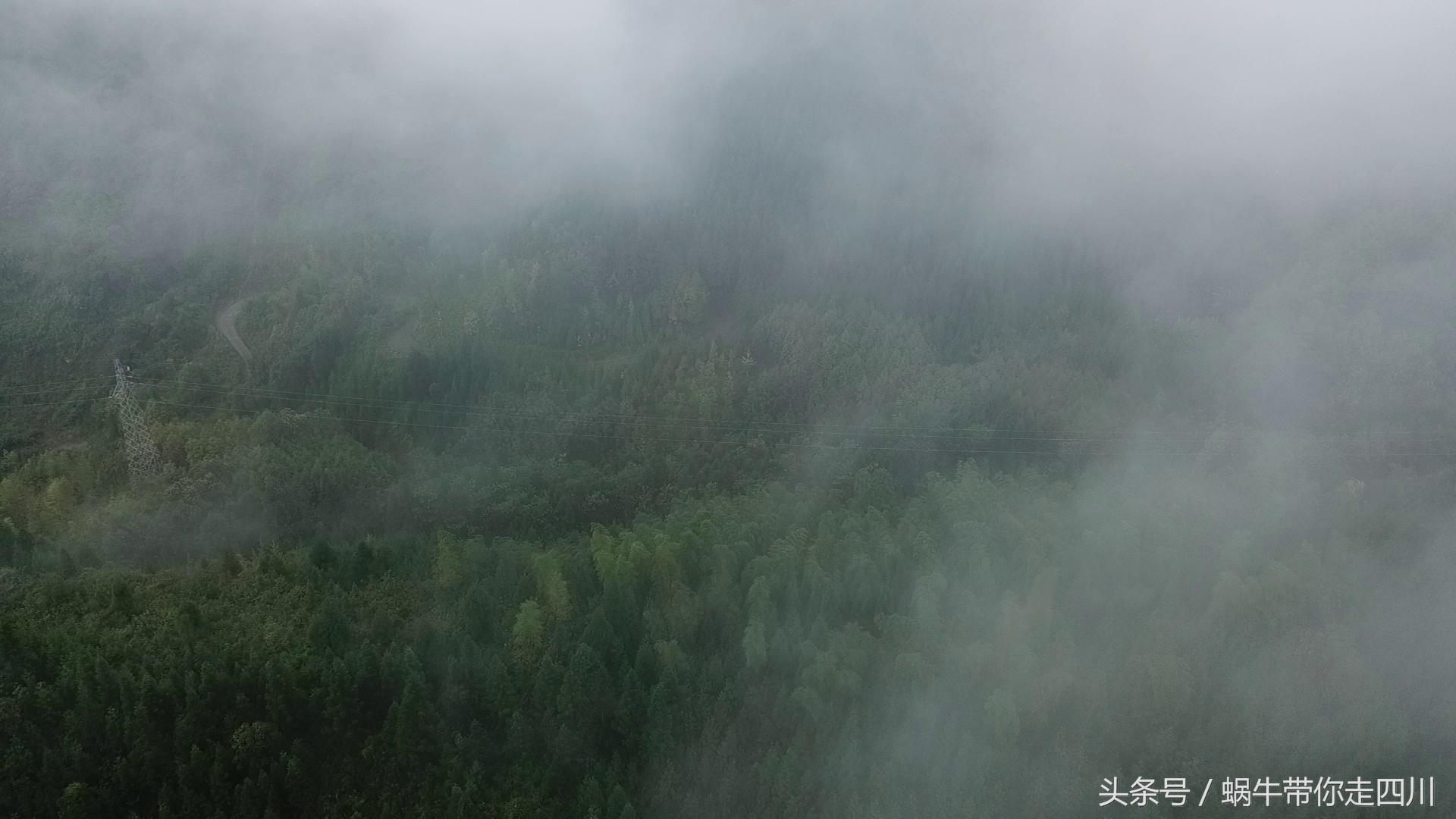 成都西岭雪山玩一天大概多少钱,成都西岭雪山旅游一日游报团