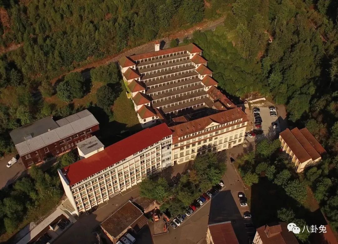 1万买表合适么,1万预算买表