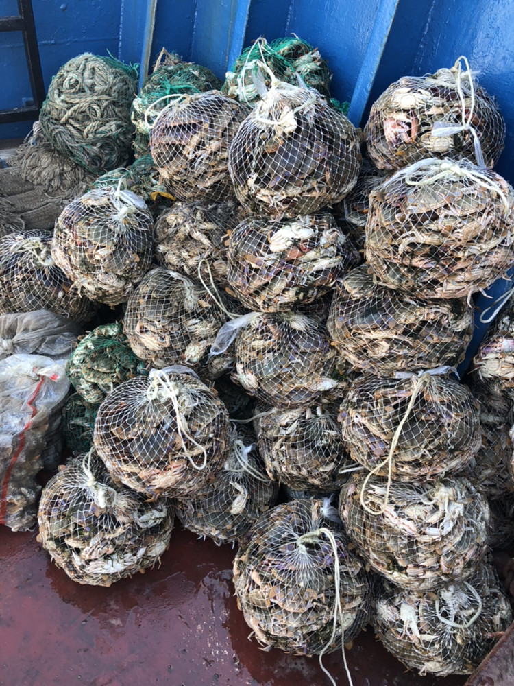 节假日人不多的景点,节假日冷门优美景点