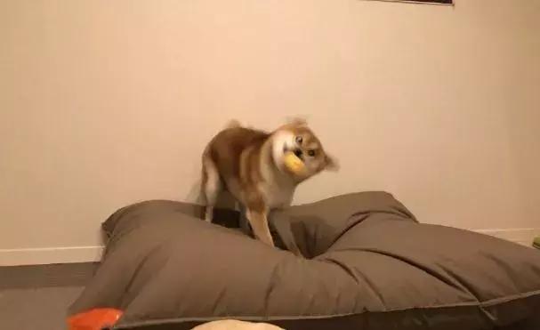 搞笑段子：怎么，想让我搞基？