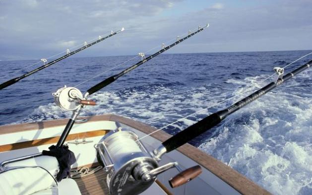 利润很吓人的5个冷门创业项目,零成本冷门创业项目有哪些