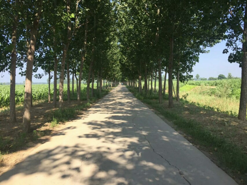 物理知识点总结,物理知识点总结歌谣