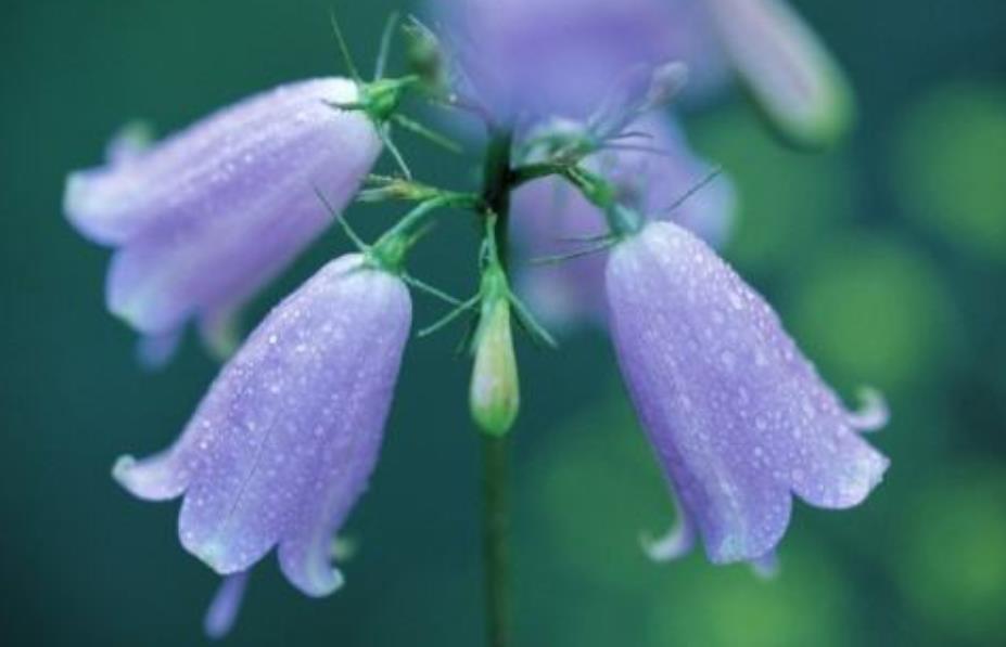 没有脾气才是一个人最好的修养,对于没脾气的人是怎么样的看法