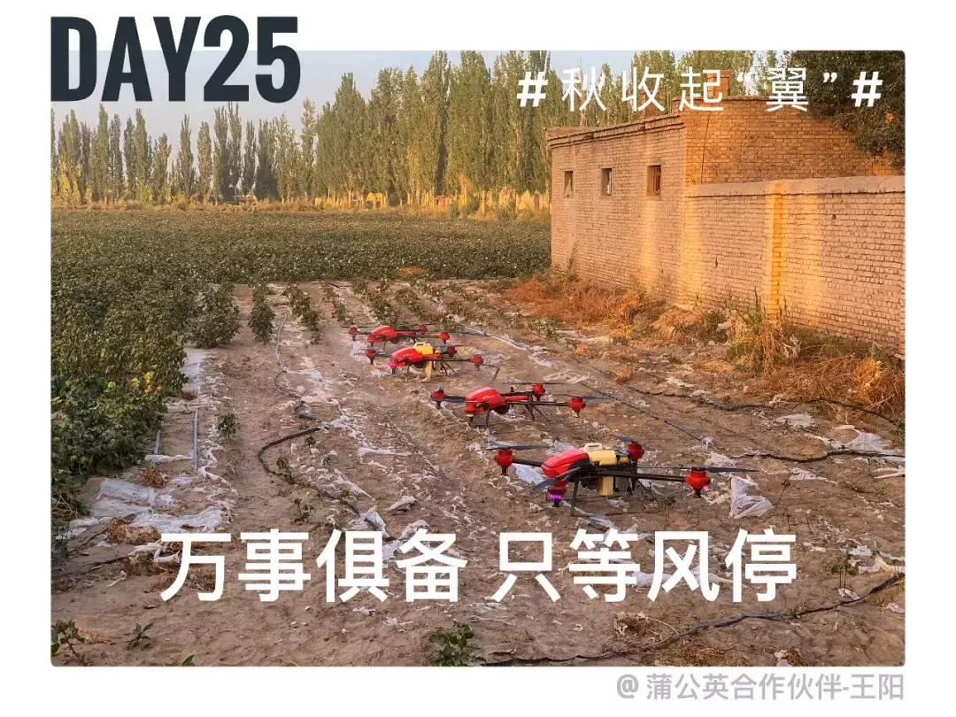 备好酒，听我们秋收起“翼”的故事！