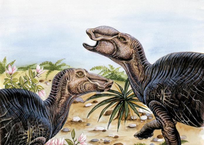 恐龙确实遍布世界各地由何而来,肉食性恐龙一般生活在哪个时代