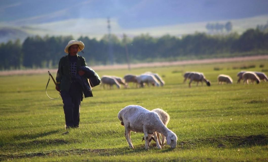 蒙古白马寓意什么,蒙古白马背景