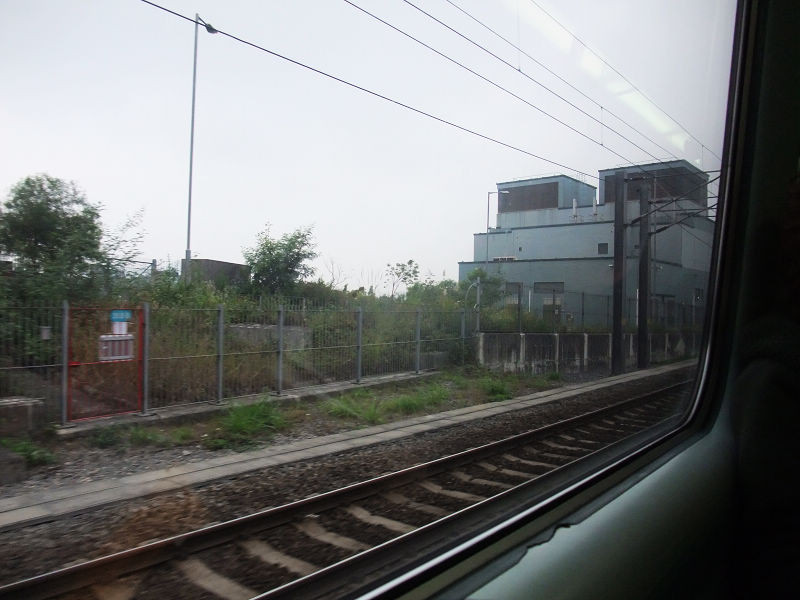 穷驴旅游,港囧游香港