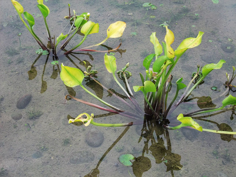 穷驴500块囧囧游香港（详细攻略带图）