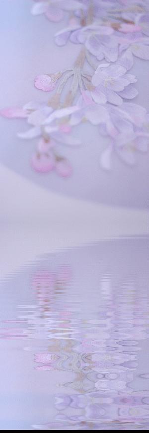 87年美女用针线“撸猫”，斩获国际大奖，网友惊呼：这猫要活了！