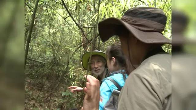 世上有一条青龙吗,世间是否真有龙