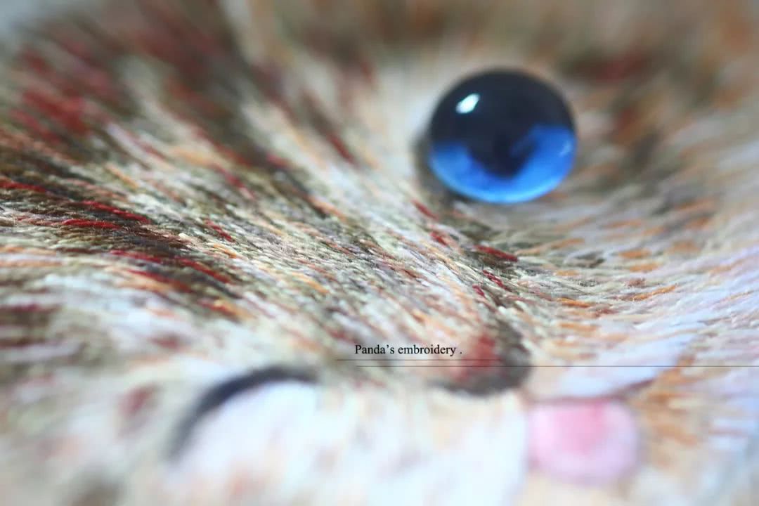 87年美女用针线“撸猫”，还斩获国际大奖，“这猫要活了！”