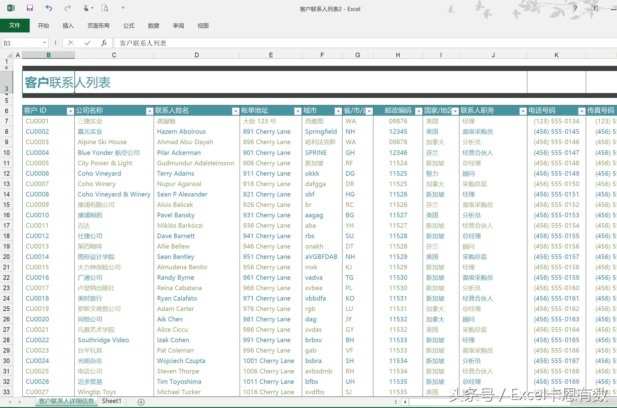 Excel卡恩有数-003优雅的浏览：冻结窗格和数据筛选
