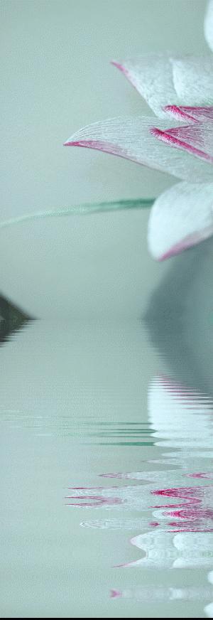 美女用针线“撸猫”，斩获国际大奖，网友惊呼：“这猫要活了！”