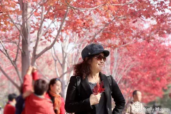 哈尔滨高校打卡,哈尔滨的风向标著名打卡地