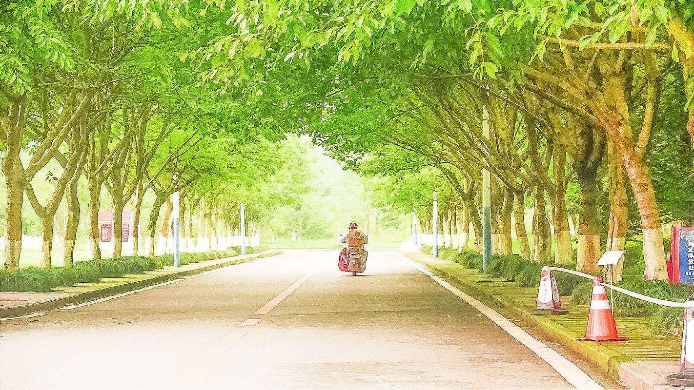 描写校园美好的好句,校园一角的好词好句好段