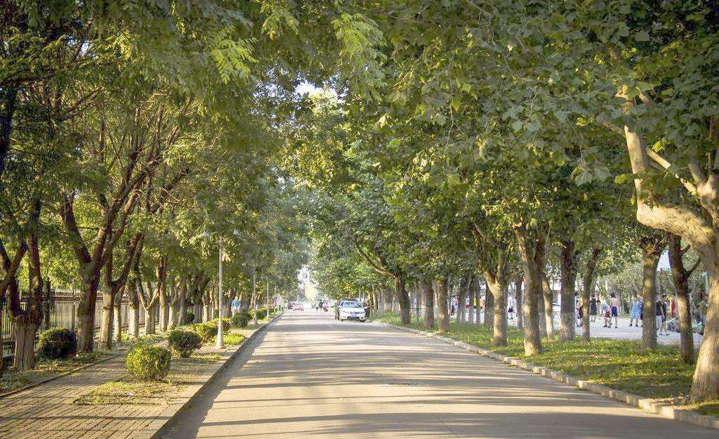 描写校园美好的好句,描写校园的好词好句好段