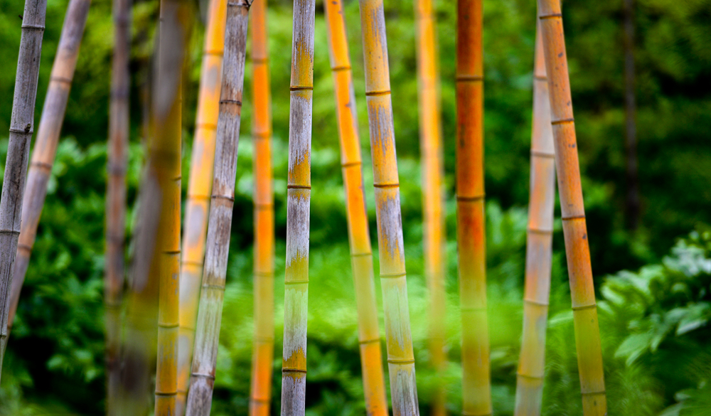 宜兴竹海的风景,推荐一个好的地方宜兴竹海