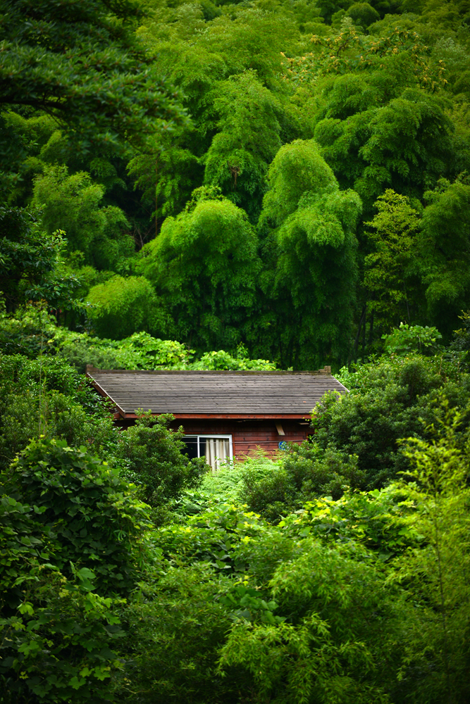 宜兴竹海的风景,推荐一个好的地方宜兴竹海