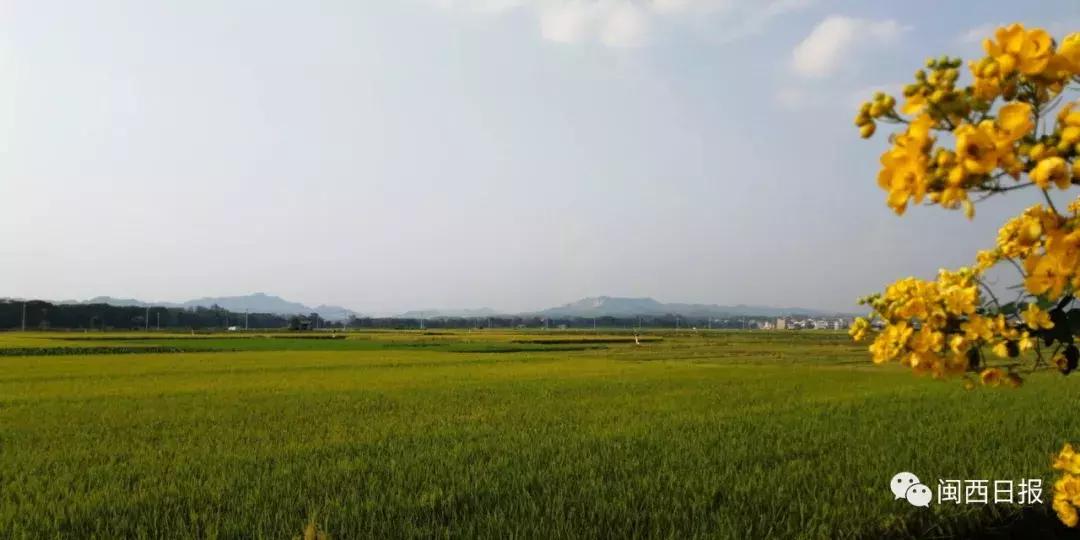 龙岩这个“生态粮仓”美翻了，还是中科院研究基地！