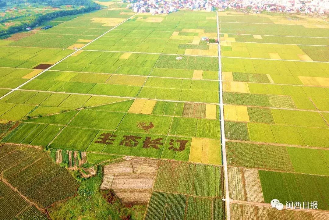 龙岩这个“生态粮仓”美翻了，还是中科院研究基地！