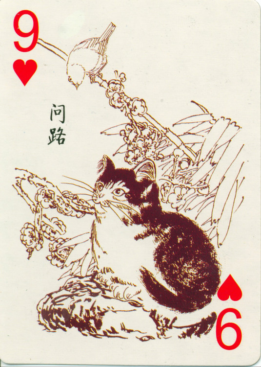 猫谱扑克欣赏,明星扑克牌欣赏