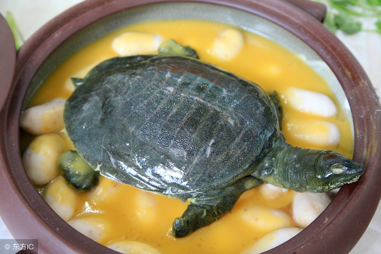 孕早期见红了有什么注意事项,孕早期见红小孩受影响不