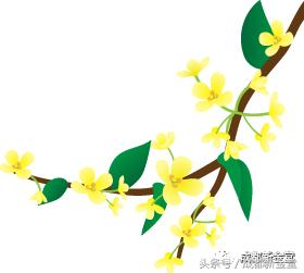 金堂秋色,秋天金堂十大必去景点