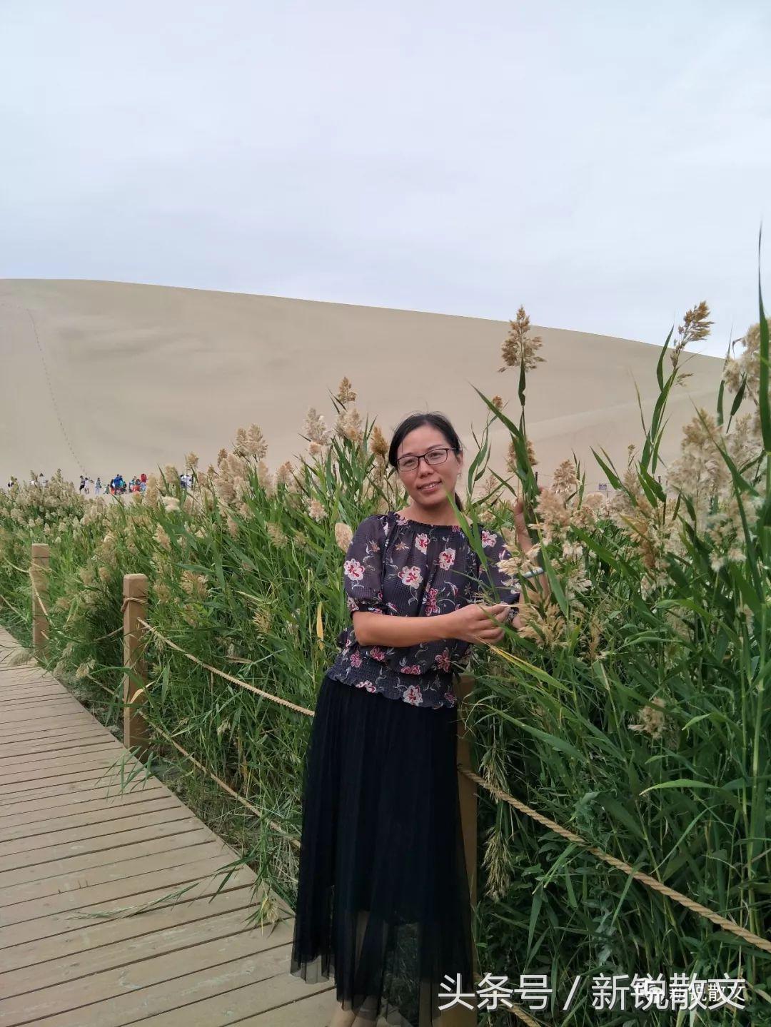 很多人梦寐以求的田园生活,向往惬意的田园生活是为什么