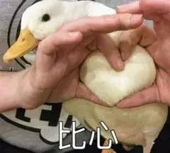 在莆田不能问什么,莆田问题回答