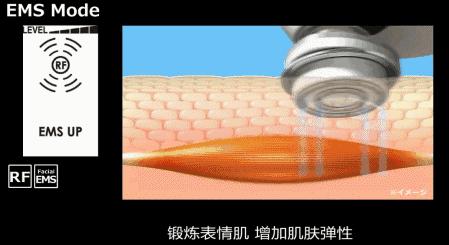 职场小白会如何被欺负,从被欺负的大学生到老总