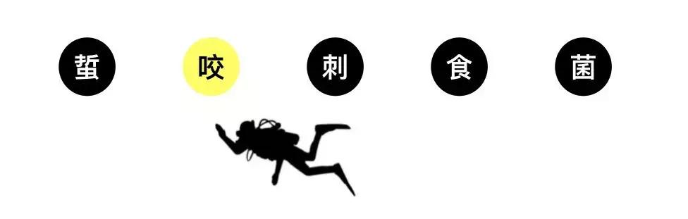 朋友潜水被蛰了，这回我没有用尿救她