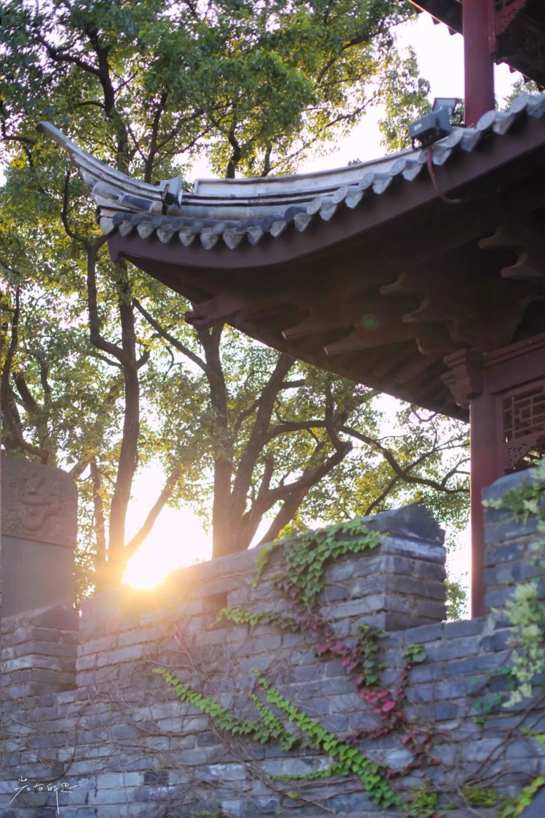 没有人来人往的城市,没有人山人海的地方