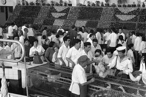 1024程序员节，这个不懂代码的小学校长做了三十年来没人做过的事