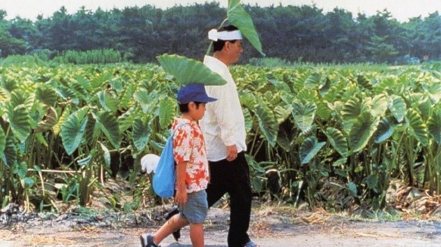 电影色彩安利三连，看过后只能感叹真香