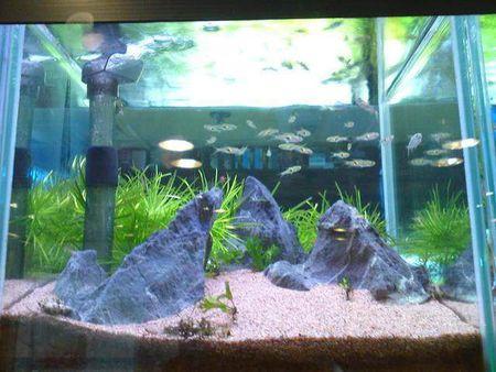 鱼缸免清洗免换水过滤系统,目前最先进的鱼缸过滤系统