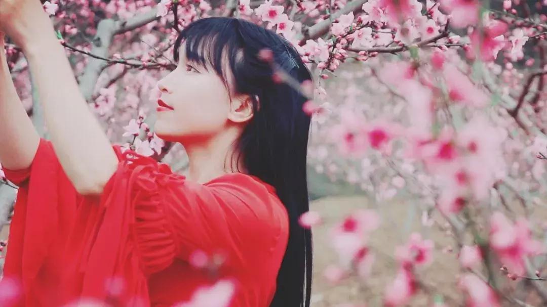 李子柒桃花醉步骤,桃花酿果酒李子柒