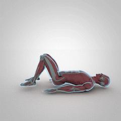 臀部训练需要掌握的细节,马华健美5分钟臀部训练