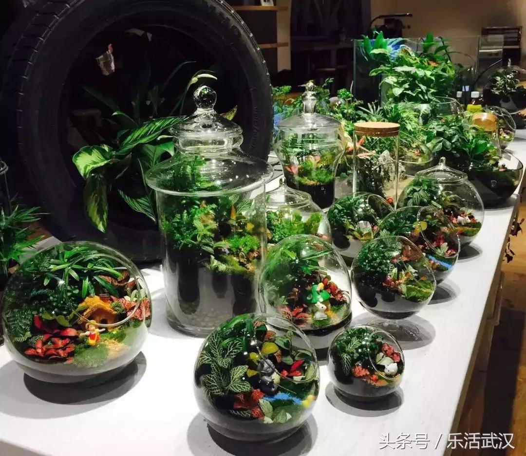 赛车场卡丁车武汉,赛车卡丁车武汉