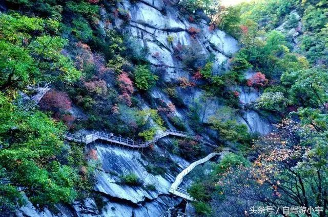 河南省赏红叶一日游,河南省秋天红叶最佳去处