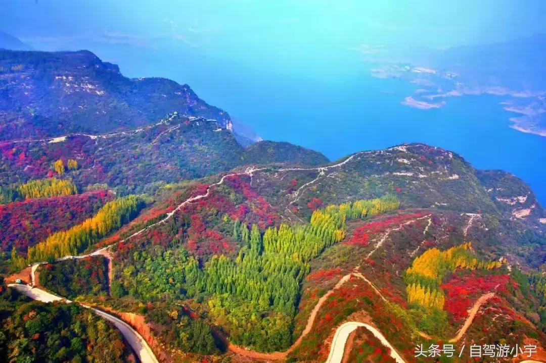 河南省赏红叶一日游,河南省秋天红叶最佳去处