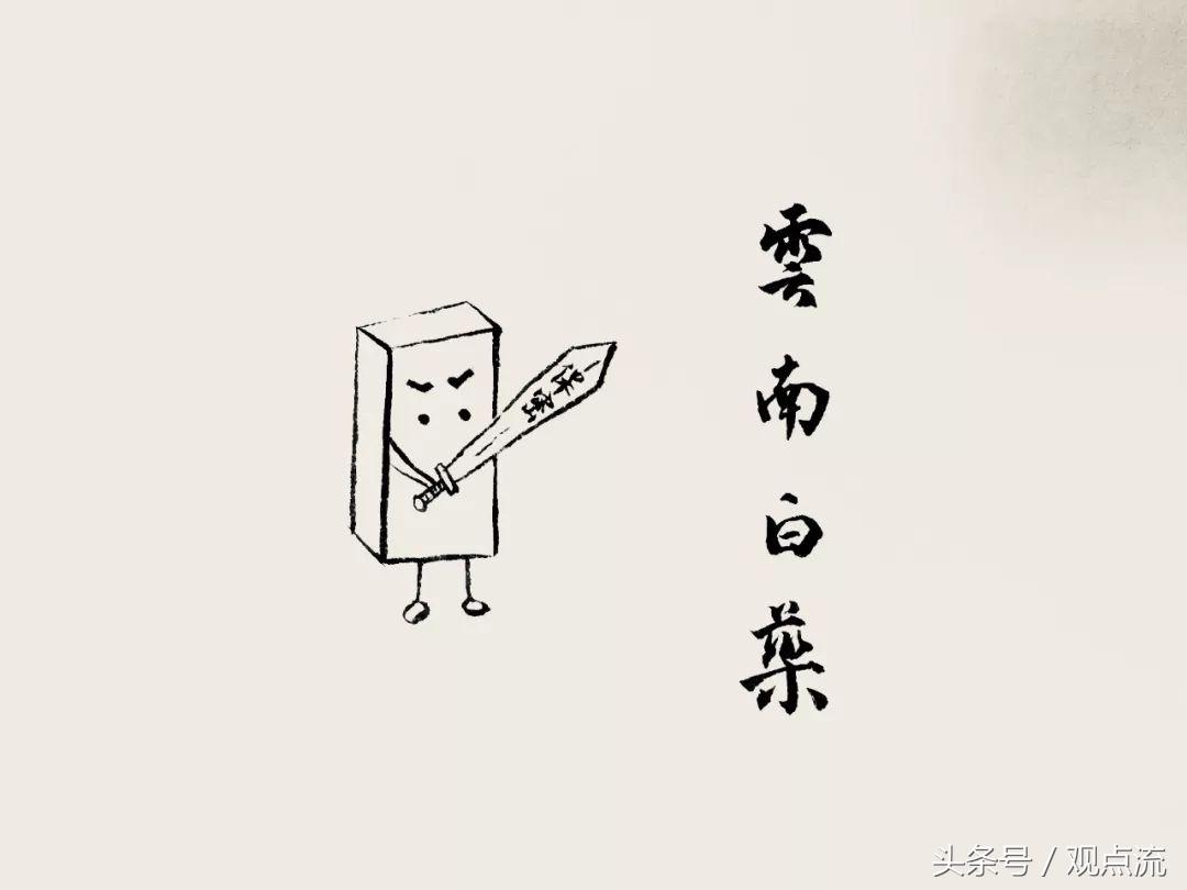 云南白药里你不知道的秘密,云南白药在国外公布配方是什么