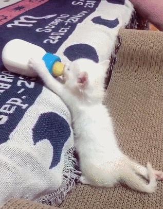 “如果被萌坏了,我帮你叫110救护车!”