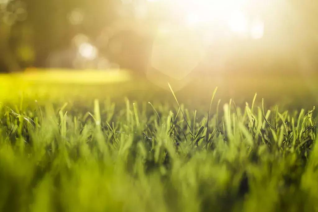新西兰的奶粉与中国奶粉,新西兰奶粉一批